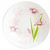 DIWALI DREAM GRASS тарелка суповая 20см