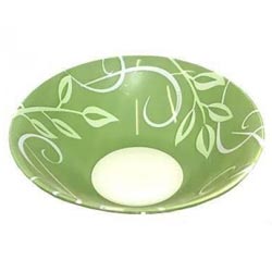 PLENITUDE VERT салатник 16 см