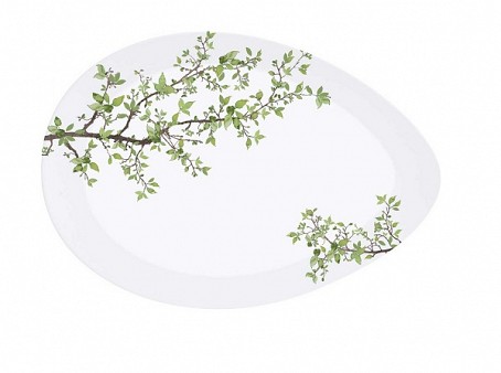 NATURA блюдо в коробке 24 x16,5 см